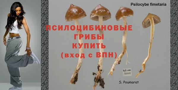 MDMA Богданович