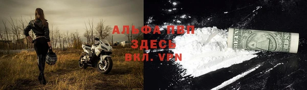 ПСИЛОЦИБИНОВЫЕ ГРИБЫ Белоозёрский