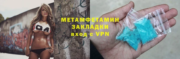 индика Богородицк