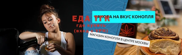 индика Богородицк