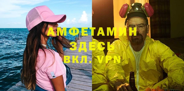 индика Богородицк