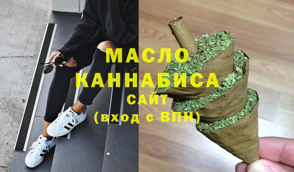 индика Богородицк