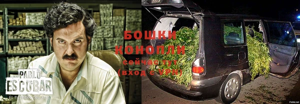 индика Богородицк