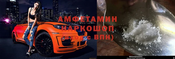 индика Богородицк